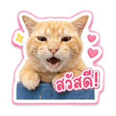 mookki_20260506231001
