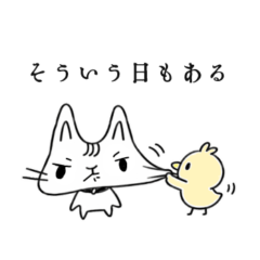 髭五本猫2