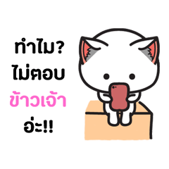 KhaawJao - The cat sticker