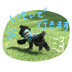 ぷーたのスタンプ