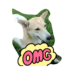 Durian@tutu_20220811150948