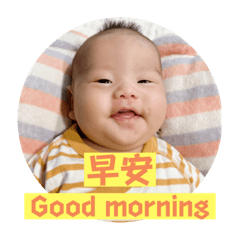 BeiBei_20230326211005