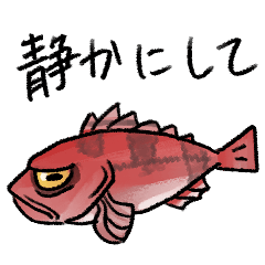 静岡の魚たち
