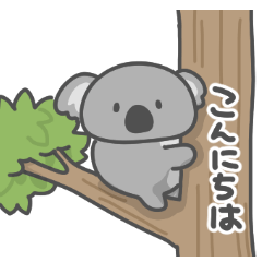 コアラの日常色々