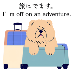 やさぐれチャウチャウの日常（英語＆日本語