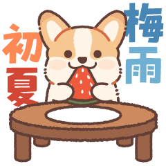 毎日使える！飛び出すコギたんの梅雨&初夏