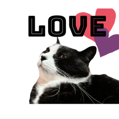 てとスタンプ。