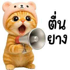 cute Orange Cat Pink Bear Hat