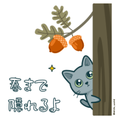 私たちの愛猫 ルーちゃんスキー #03