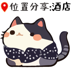 Talk Cat Ball  Location Special 2