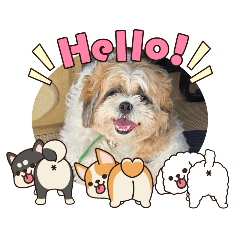 kajeab suppaluck_20260104093405