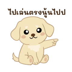 Playful Pup Chaos & Love