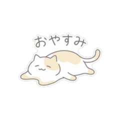 ねこと過ごす日々