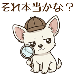 白いチワワのかわいい挨拶 正直