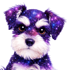 Galaxy Miniature Schnauzer: Cosmic Paws