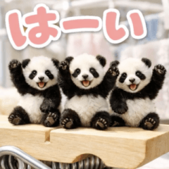 飛び出す♡ちいさなパンダ