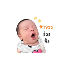 Nirin shop_20260501103030