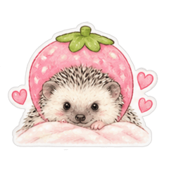 ハリネズミのSOYくん