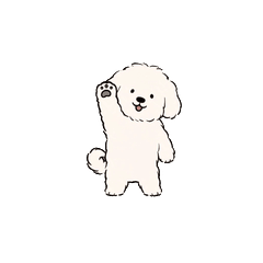 動く！マルチーズ（ホワイト・文字なし）