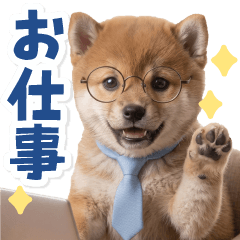 BIG！ベビシバのおしごと敬語♪