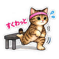 YUKI& 猫トレ