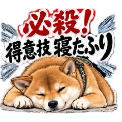 男子な柴犬日常会話スタンプ