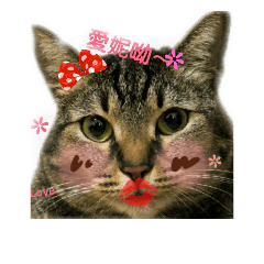 LAI JIA YING_20181108164931