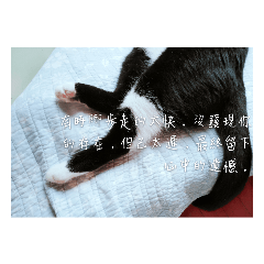 Rainey_20190427214708