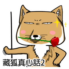 蔵狐2(ぞうこ/チベット狐)
