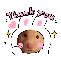 Ling Ling_20211114022611