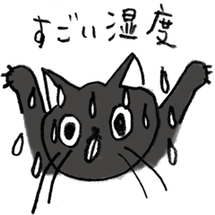 植田真梨恵 マヌヒャ梅雨(～夏まで)