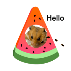 Chen hurry_20250801140452