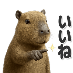 毎日使いやすい！可愛いカピバラ