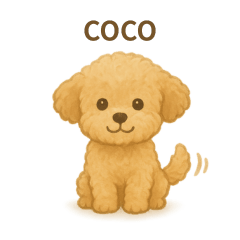 トイプードルのココ　毎日スタンプ