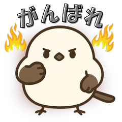 Shimaenaga Cute Expressive Bird