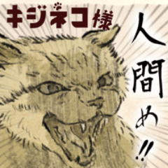 キジネコ様 02