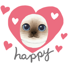 Patty_20260222014303