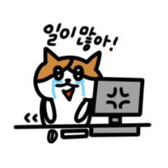 Clear-Eyed Cat Office Worker