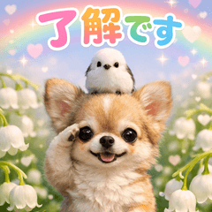 とびだす★敬語チワワ♡わんこ♡犬