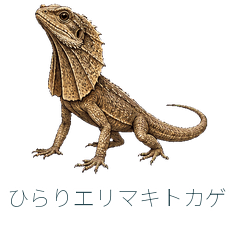 ひらりエリマキトカゲ