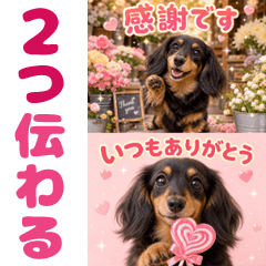 とびだす★1枚で2つ伝わる！ダックス