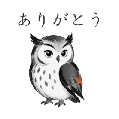 フクロウ・ペンギン・ワタリガラス