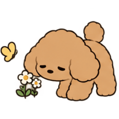 無気力わんこ(トイプードルのイヴさん)