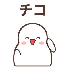 ゆるかわ白文鳥チコ