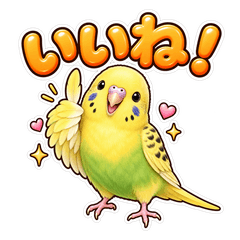 かわいいインコの日常生活
