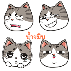NAMKMIB trollcat emoji