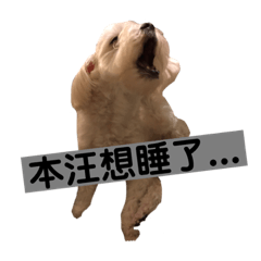 AmyKuo_20190110094649