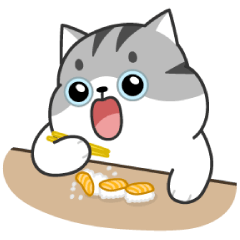 SOC : Winter Animated