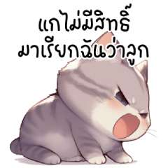 Cute Grey Fat Cat