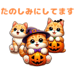 子猫と猫　ハロウィン　挨拶